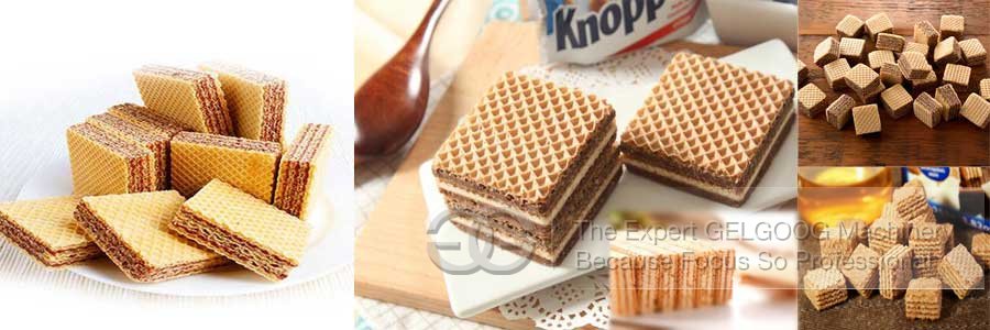 wafer biscuit