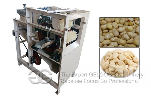 Wet Type Almond Peeling Machine|Broad Bean Peeler Machine