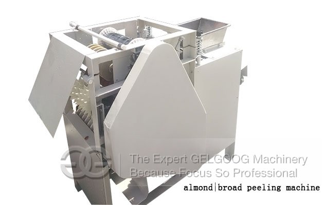 Wet Type Almond Peeling Machine|Broad Bean Peeler Machine