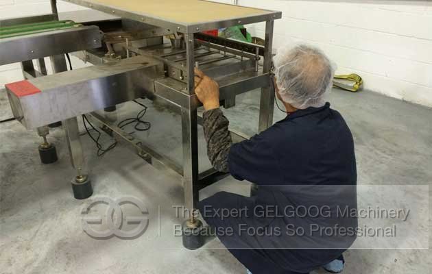 Wafer Biscuit Machine Factory in Canada