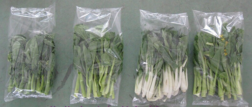 vegetables packing